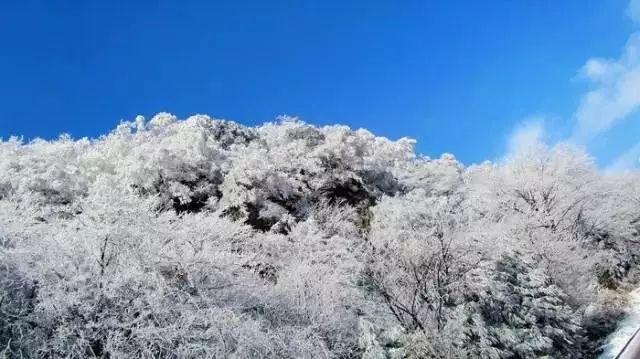 终结者2官方手游