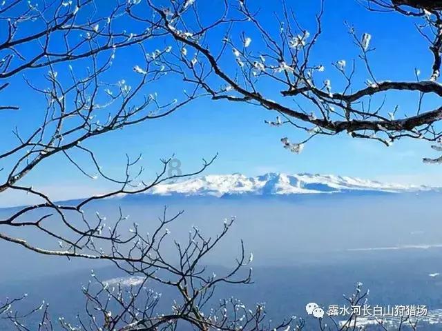 古龙群侠传