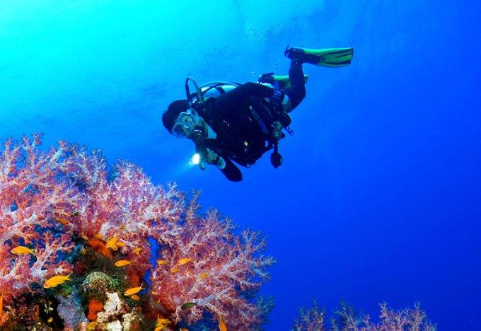 通用汽车申请增强现实显示专利，能实时感知并显示交通信号状态