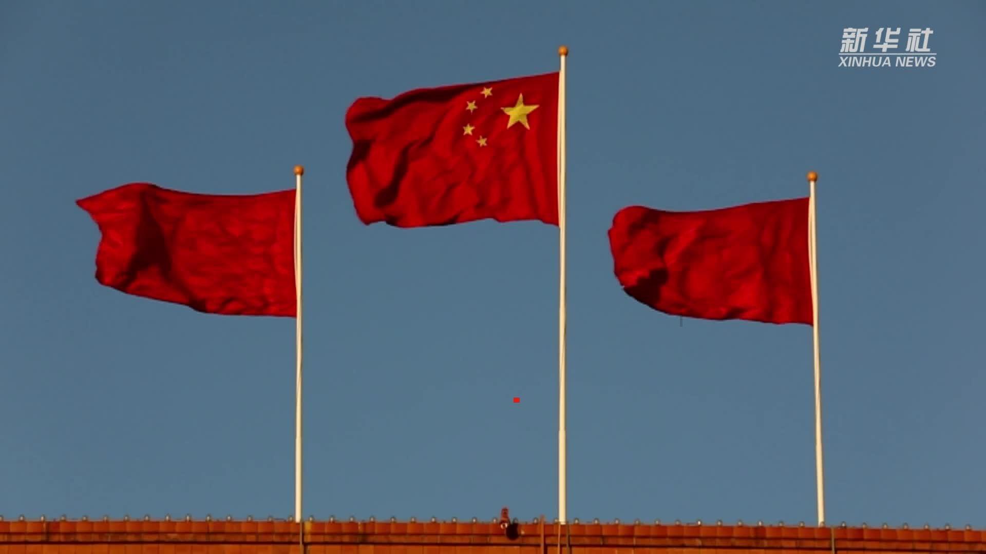 无休止的树