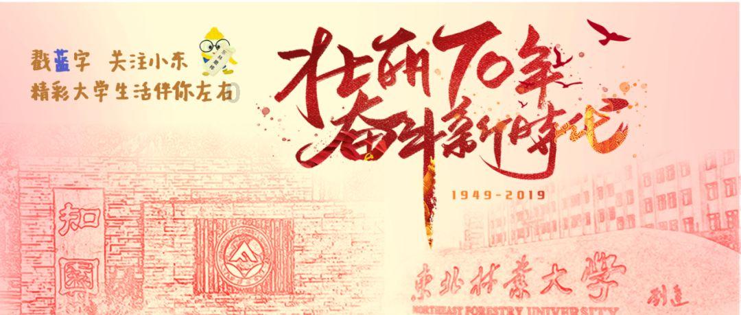 裙上繁花