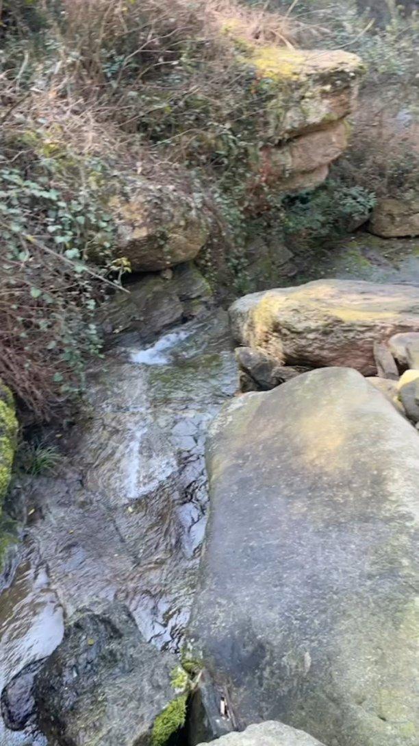 狂野的飙客