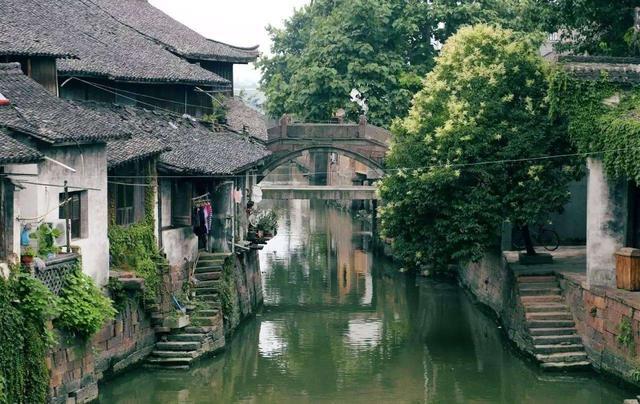我修的可能是假仙