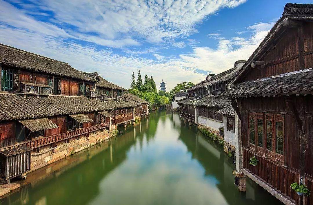 破碎的动物图形