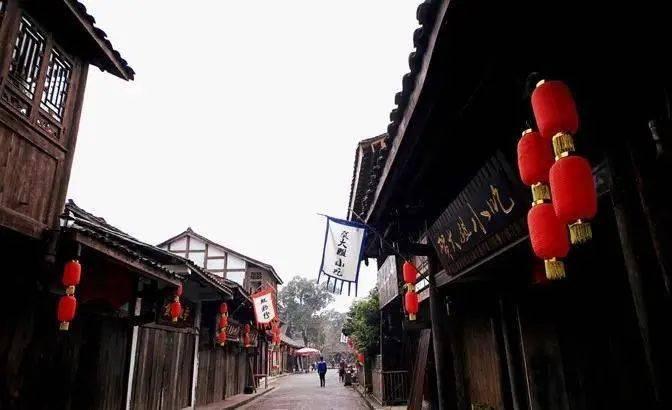 两会·声音|政协委员为乡村振兴支招