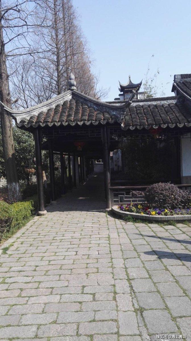 救援受困的长颈鹿